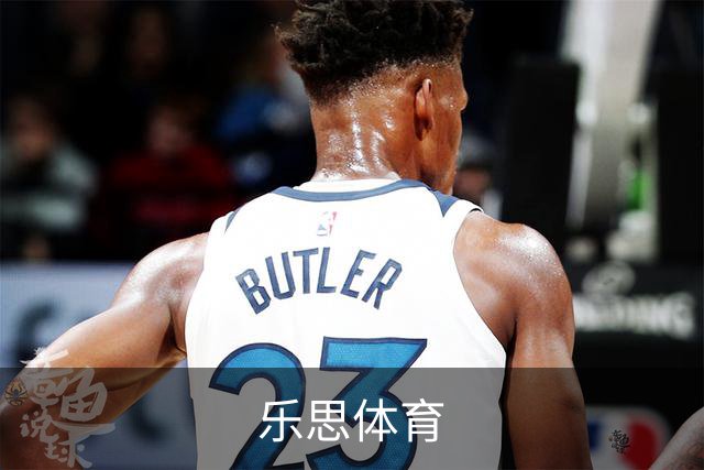 乐思体育公司简介